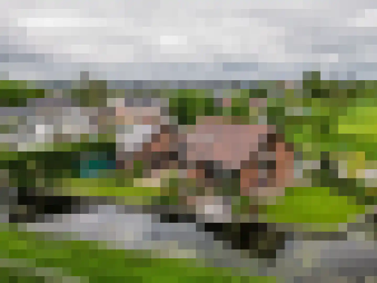 Voorlaan 5 Bleiswijk thumbnail 70