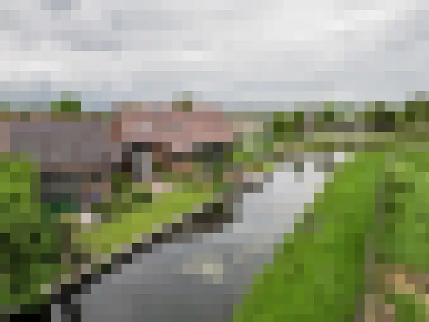 Voorlaan 5 Bleiswijk thumbnail 71