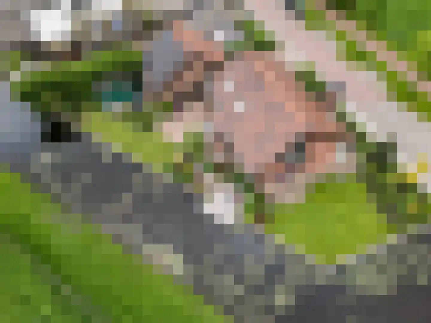 Voorlaan 5 Bleiswijk thumbnail 73