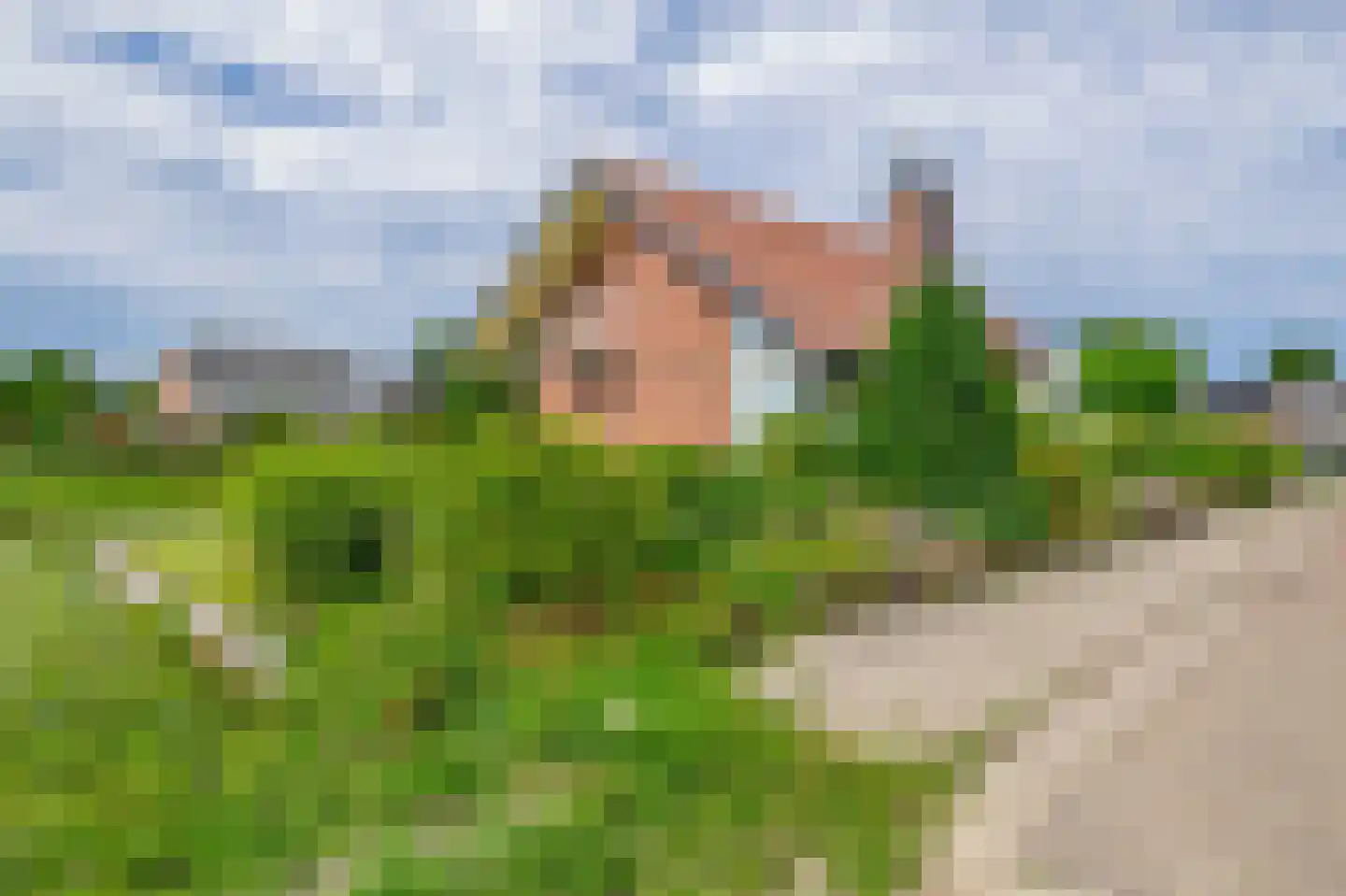 Voorlaan 5 Bleiswijk thumbnail 8