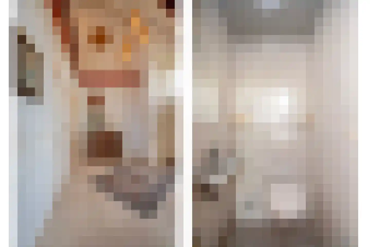 Voorlaan 5 Bleiswijk thumbnail 8