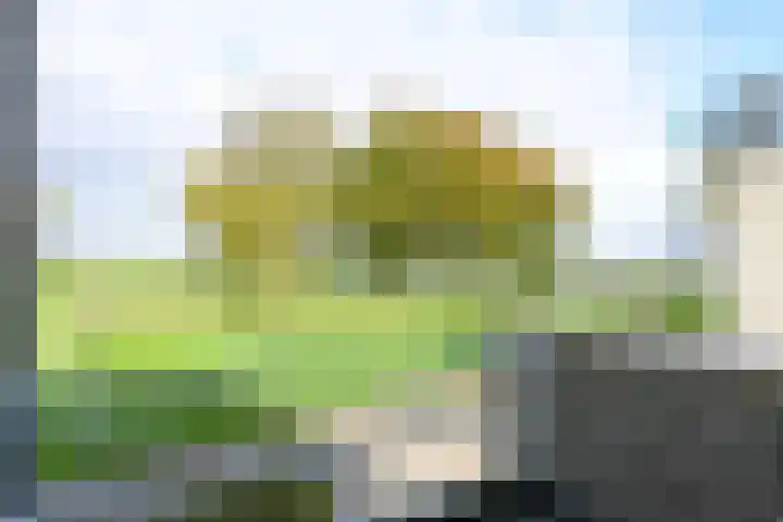 Voorland 17 Zeewolde thumbnail 22