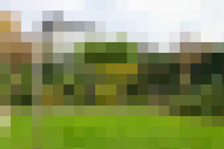 Voorland 17 Zeewolde thumbnail 40