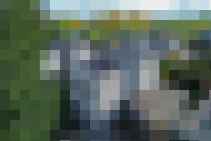 Voorland 17 Zeewolde thumbnail 41
