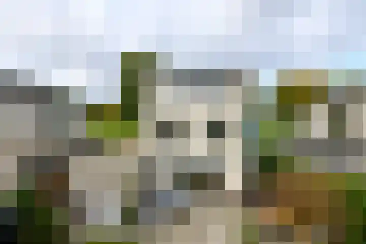Voorland 17 Zeewolde thumbnail 45