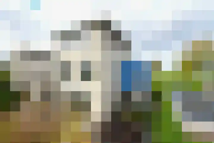 Voorland 17 Zeewolde thumbnail 47