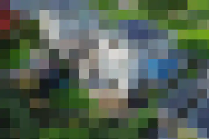 Voorland 17 Zeewolde thumbnail 49