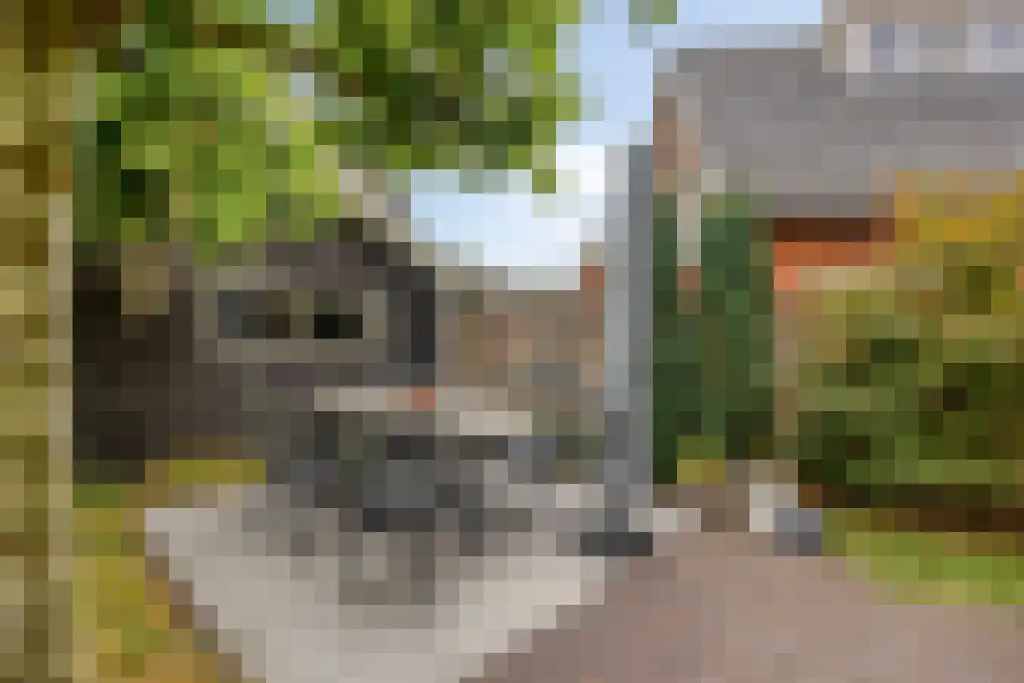 Voorlandseweg 2 Apeldoorn thumbnail 35