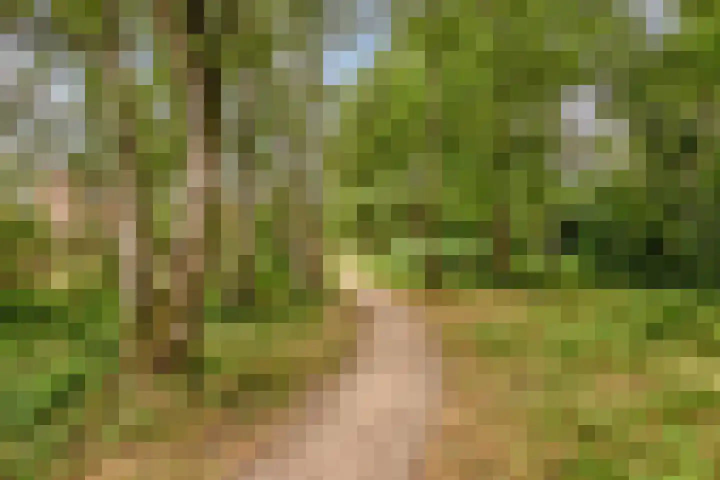Voorlandseweg 2 Apeldoorn thumbnail 40