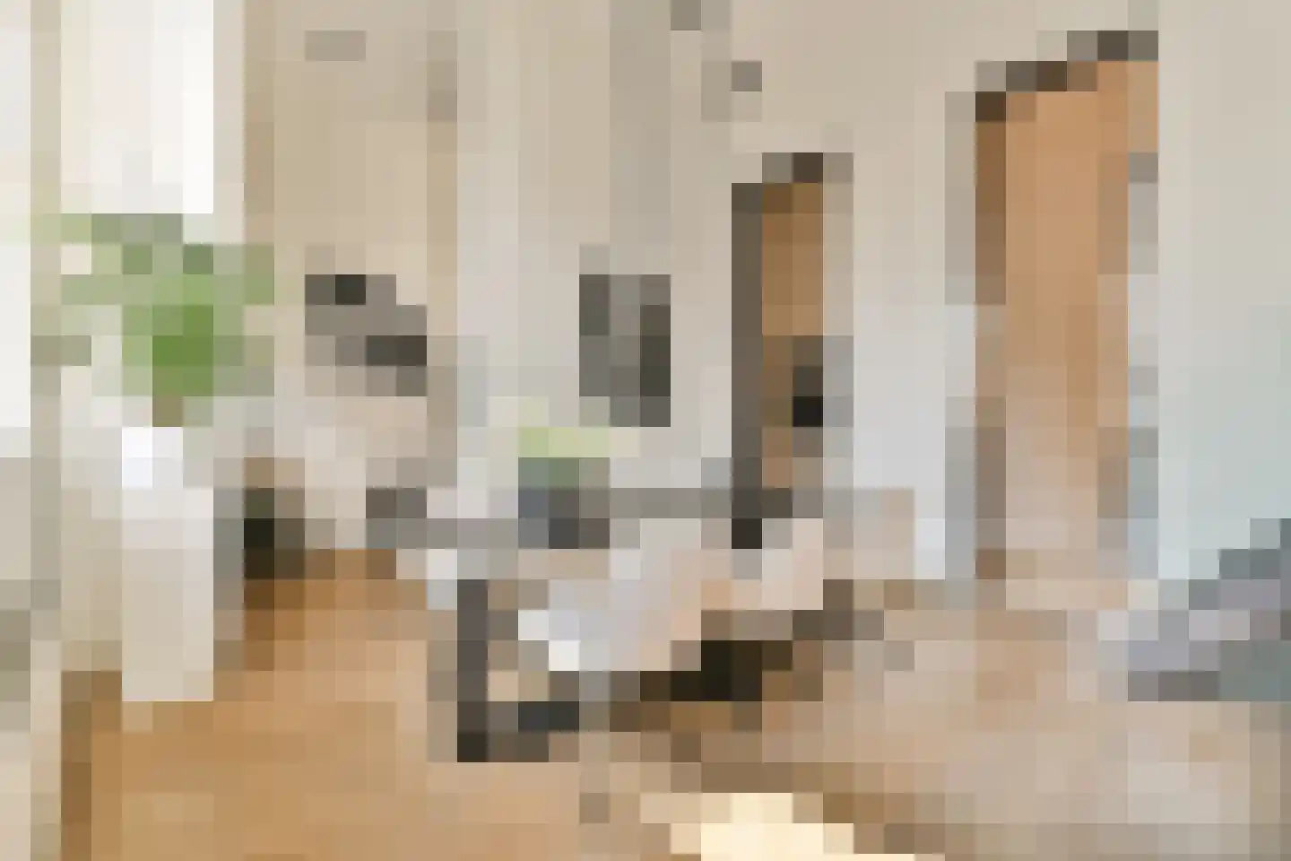 Voormalige Stadstimmertuin 2 K Amsterdam thumbnail 10