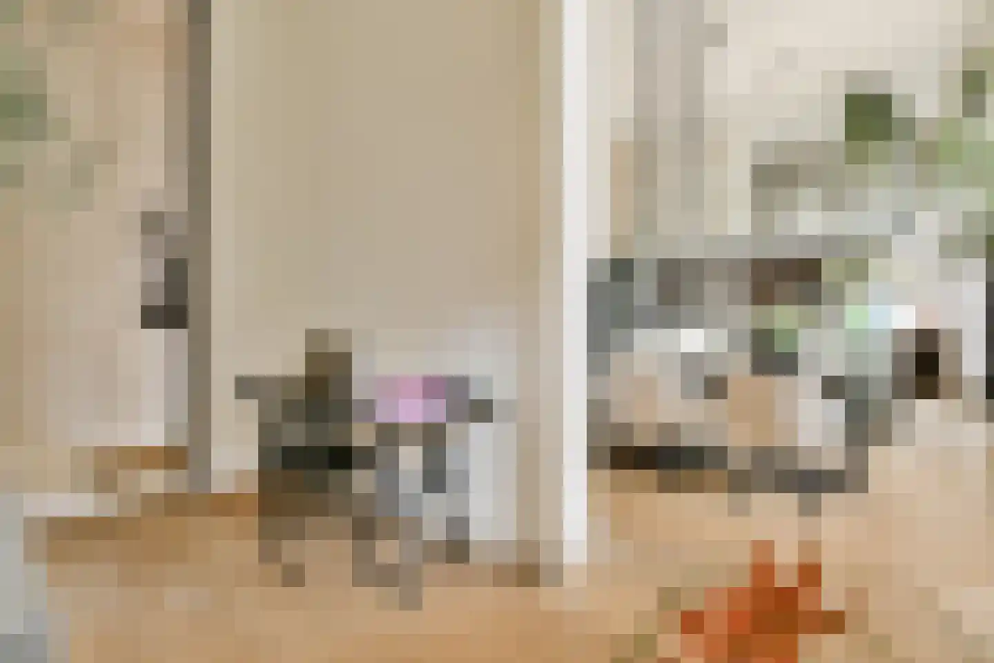 Voormalige Stadstimmertuin 2 K Amsterdam thumbnail 11