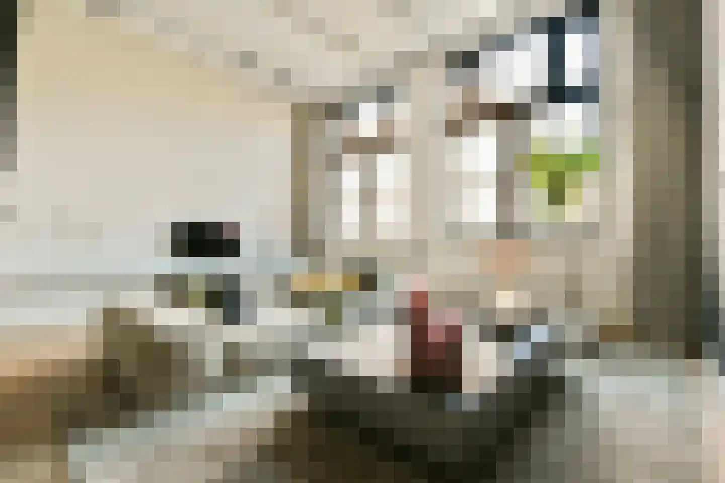 Voormalige Stadstimmertuin 2 K Amsterdam thumbnail 15