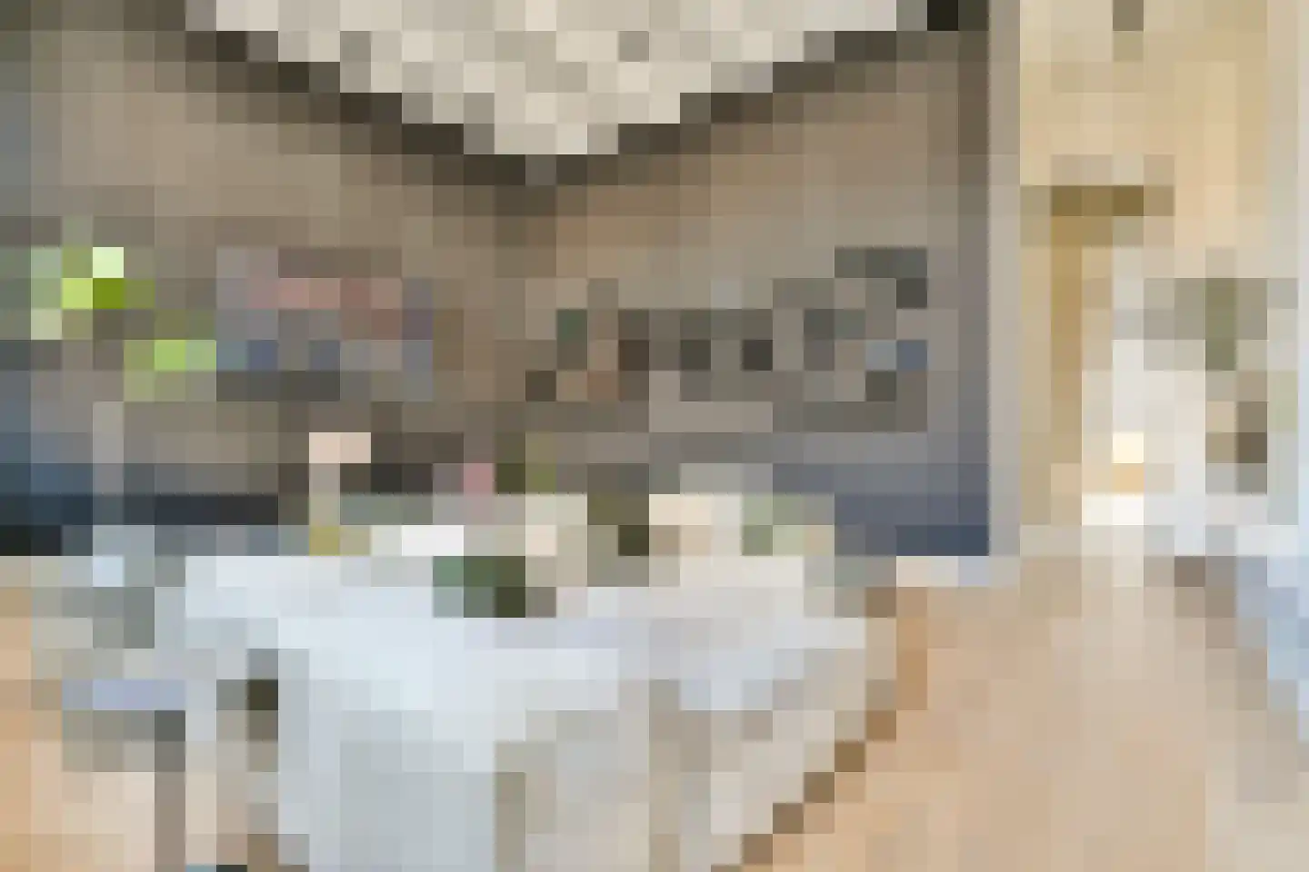Voormalige Stadstimmertuin 2 K Amsterdam thumbnail 16