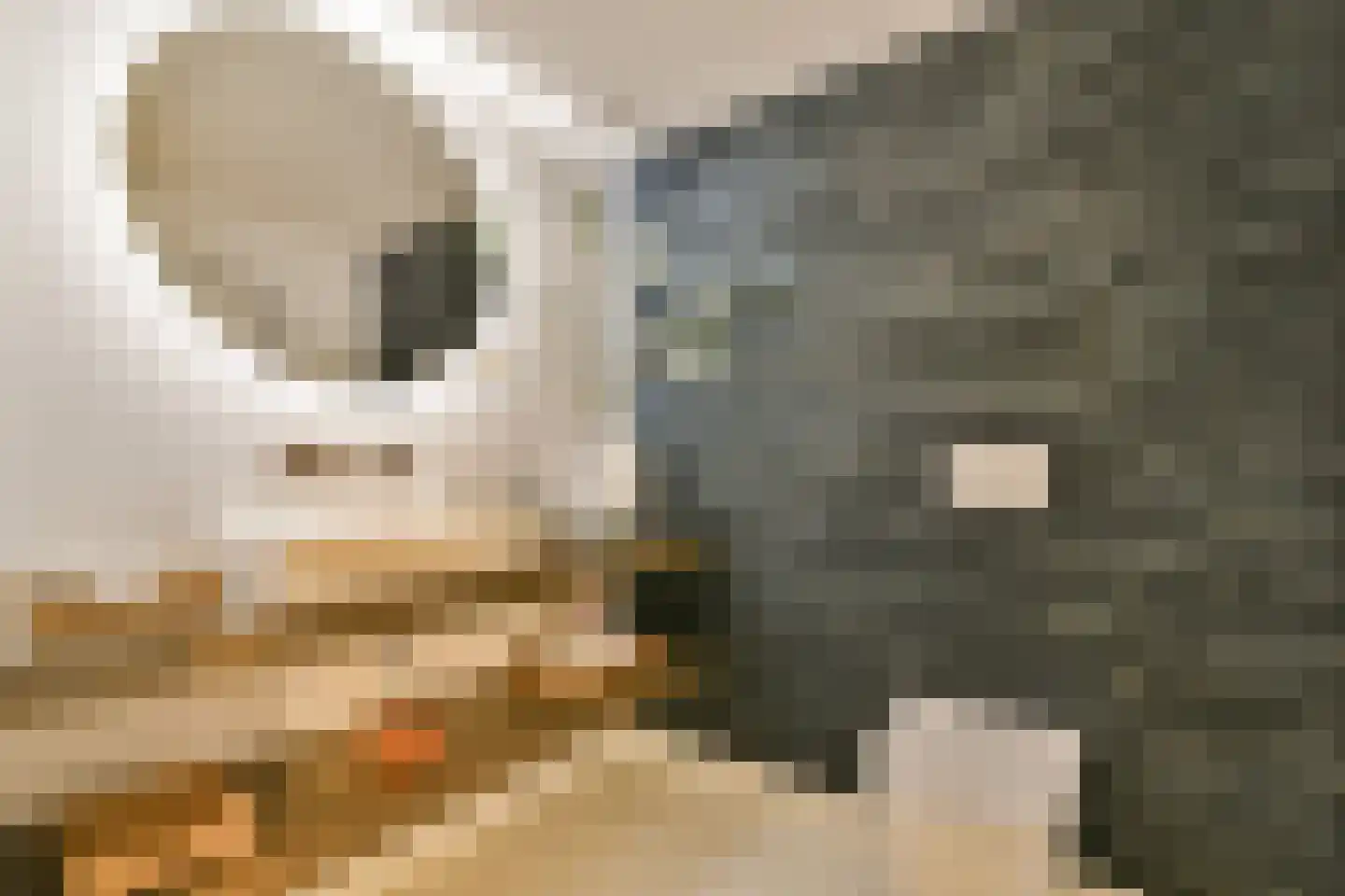 Voormalige Stadstimmertuin 2 K Amsterdam thumbnail 27