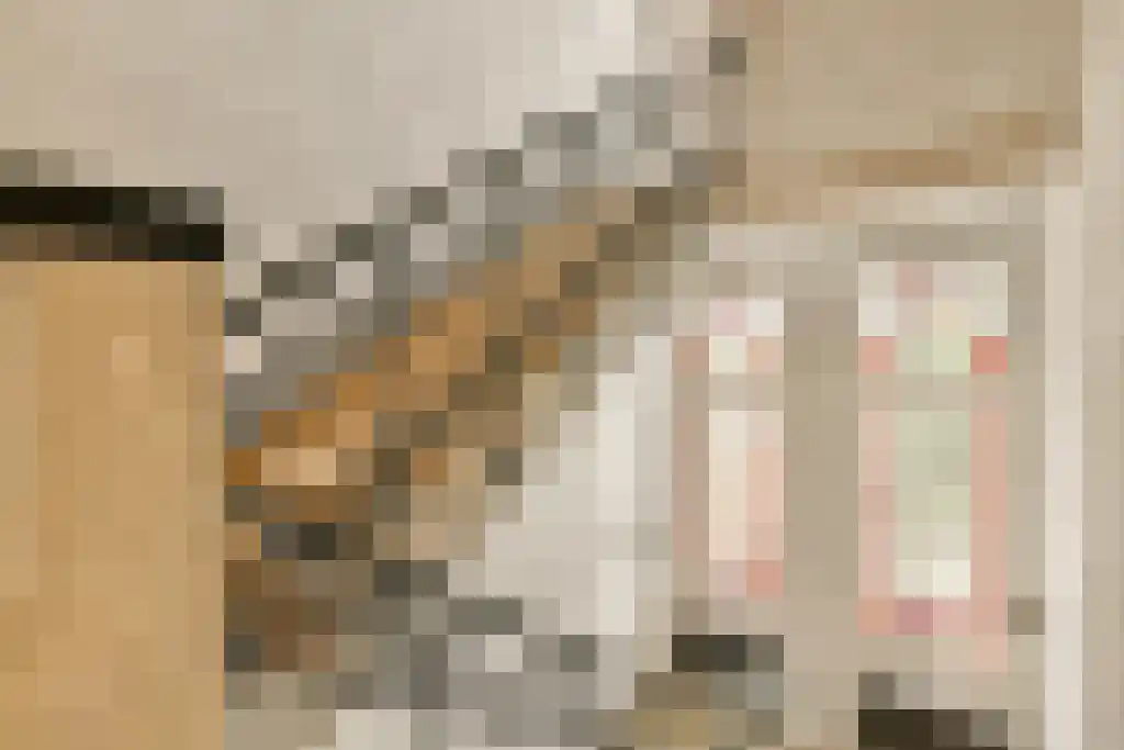 Voormalige Stadstimmertuin 2 K Amsterdam thumbnail 29
