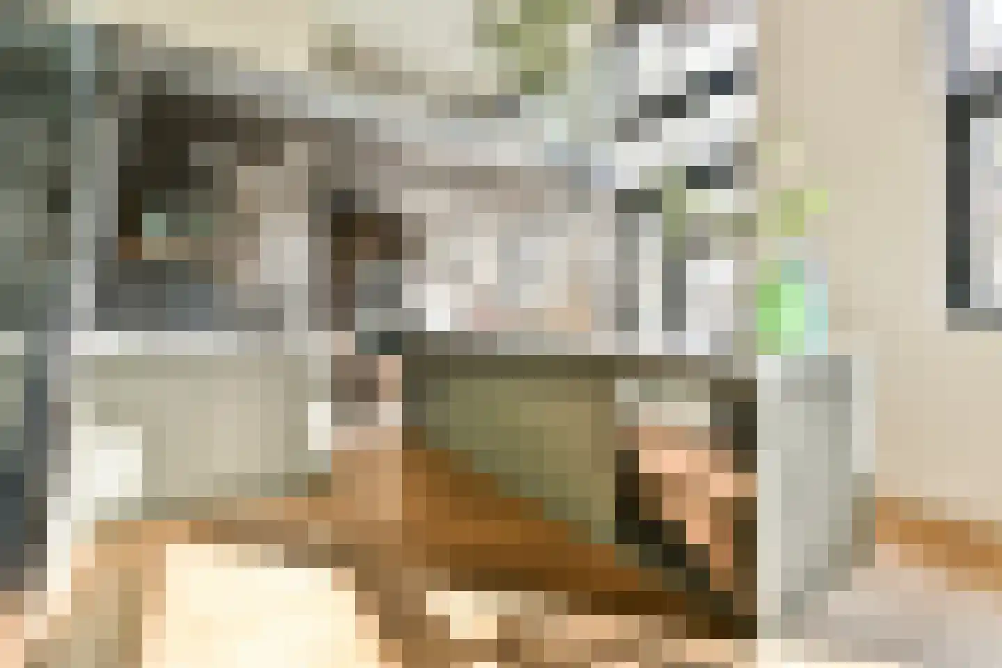 Voormalige Stadstimmertuin 2 K Amsterdam thumbnail 4