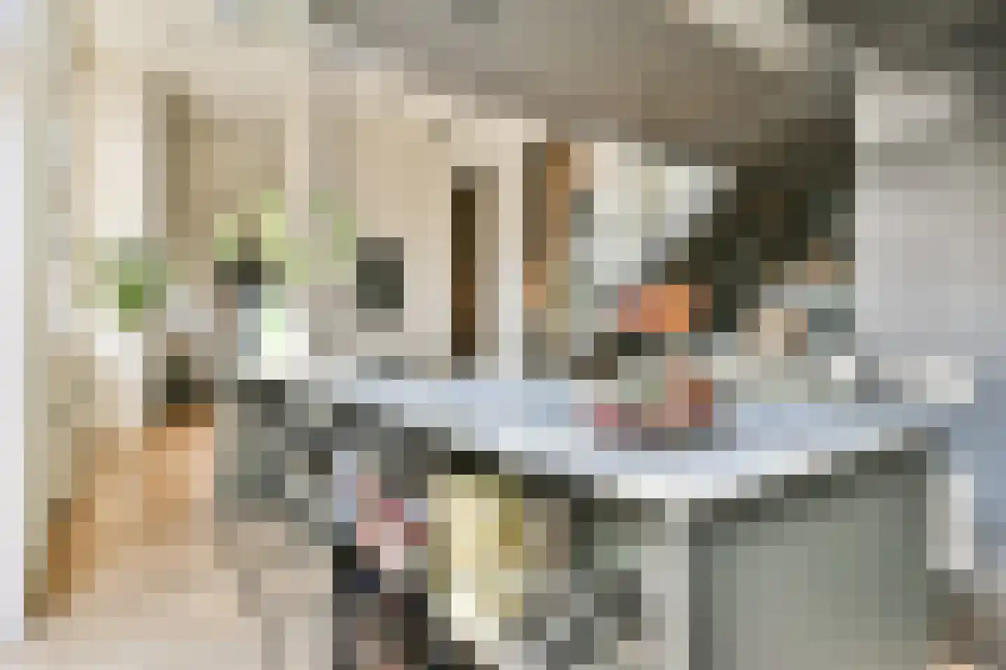 Voormalige Stadstimmertuin 2 K Amsterdam thumbnail 5