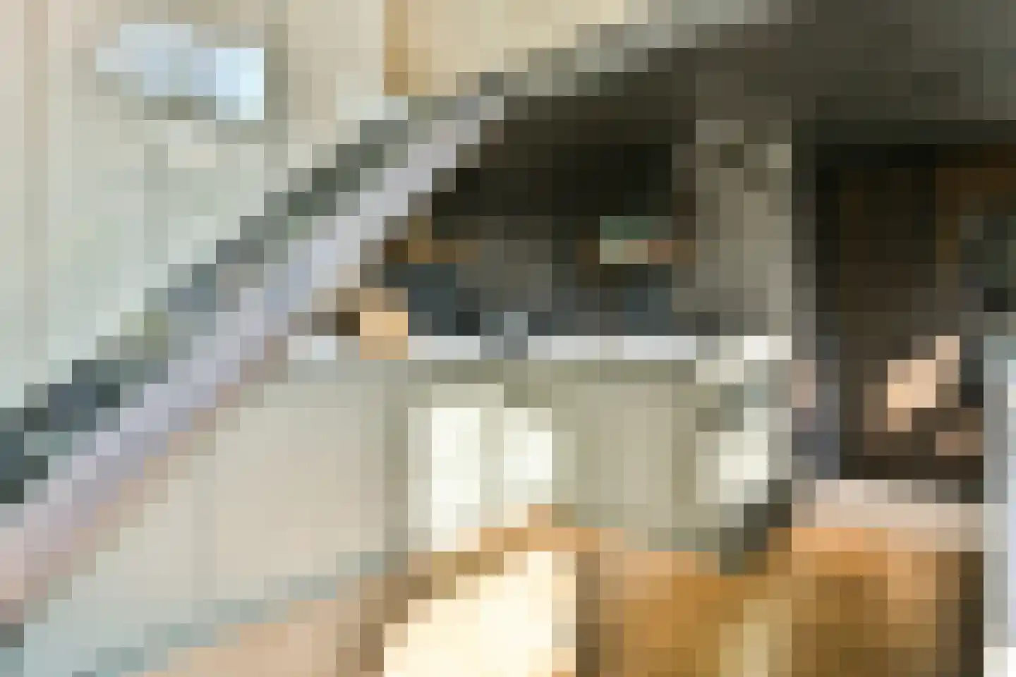 Voormalige Stadstimmertuin 2 K Amsterdam thumbnail 6