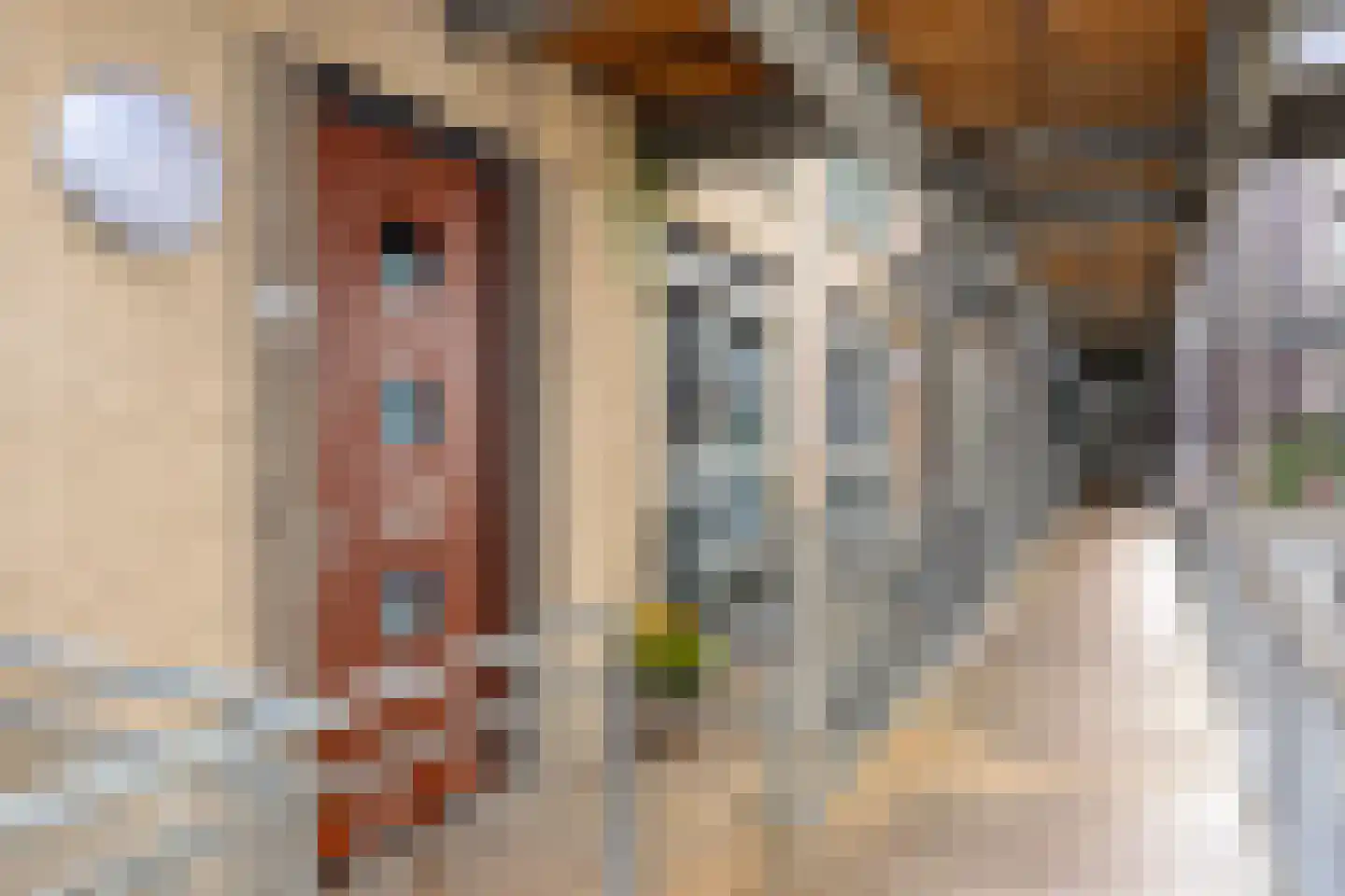 Voormeer 110 Alkmaar thumbnail 10