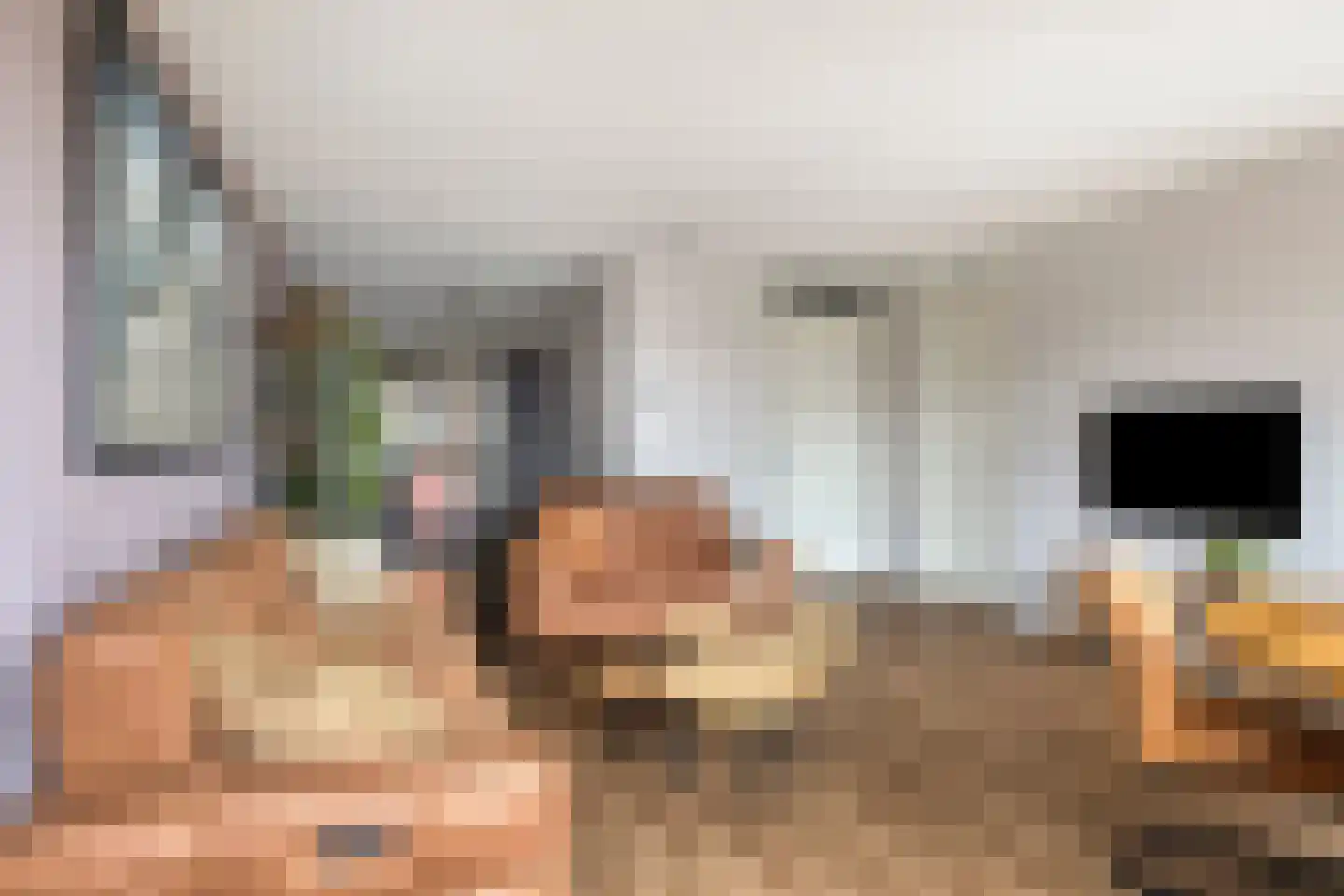 Voormeer 110 Alkmaar thumbnail 15