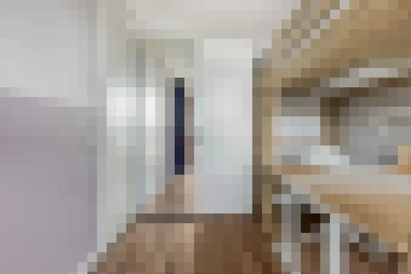 Voormeer 110 Alkmaar thumbnail 19
