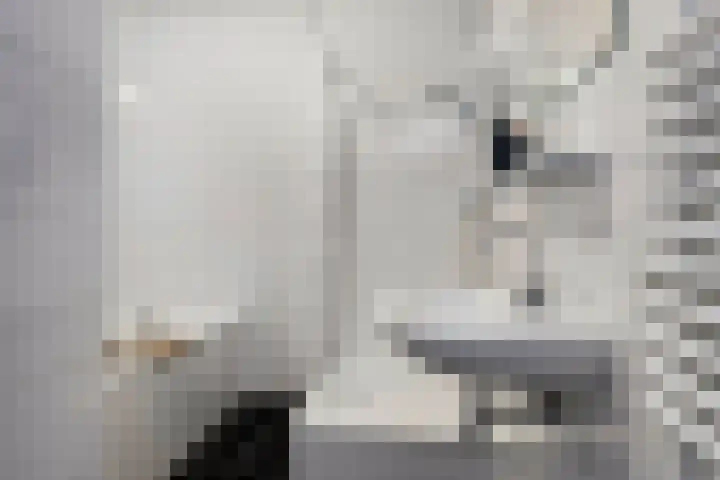 Voormeer 110 Alkmaar thumbnail 5