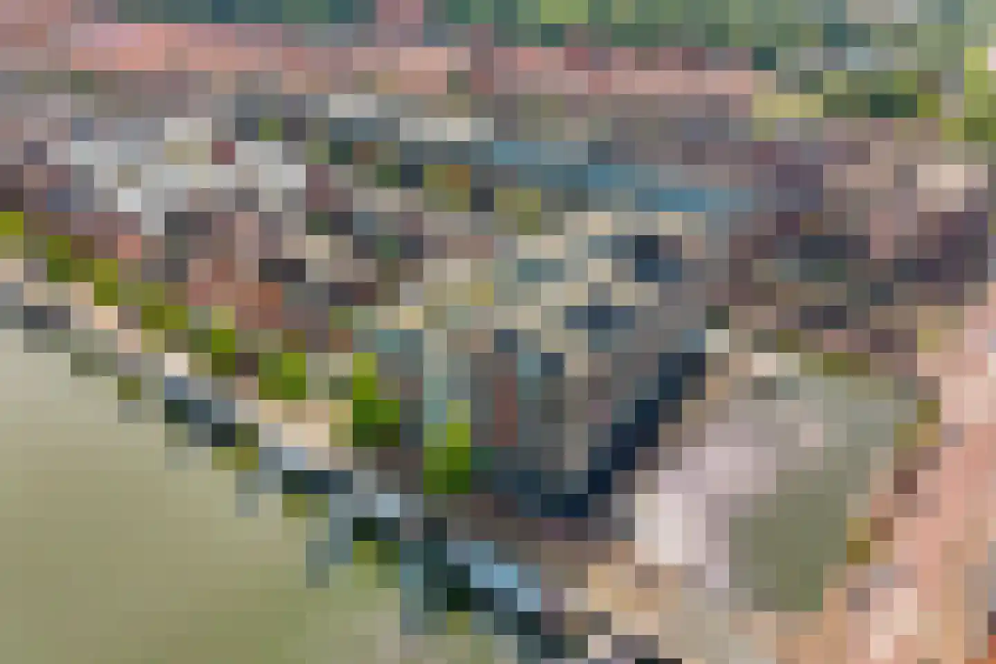 Voormeer 174 Alkmaar thumbnail 23