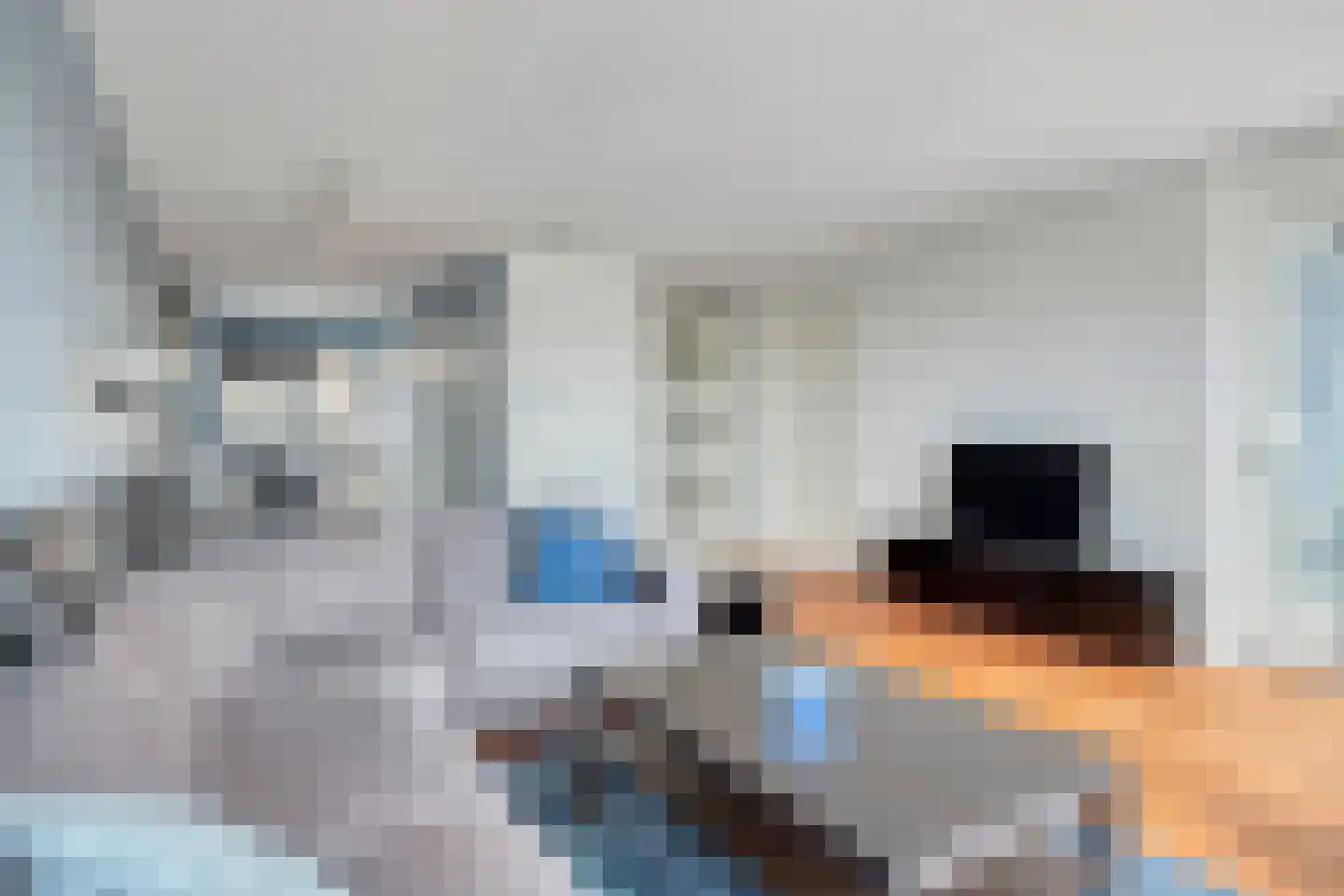 Voormeer 174 Alkmaar thumbnail 6