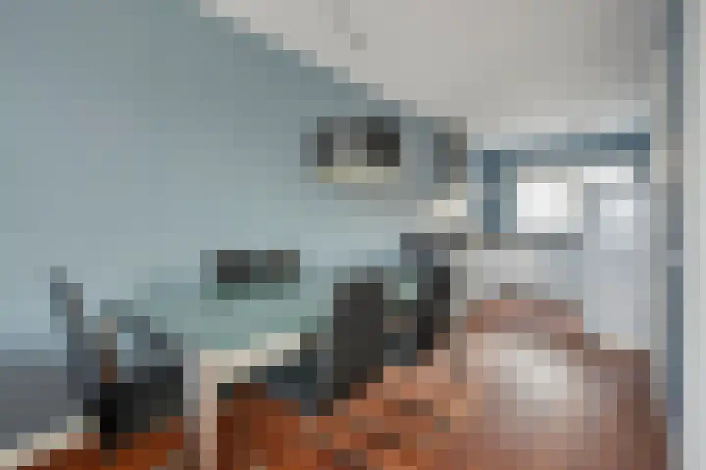 Voormeer 174 Alkmaar thumbnail 8