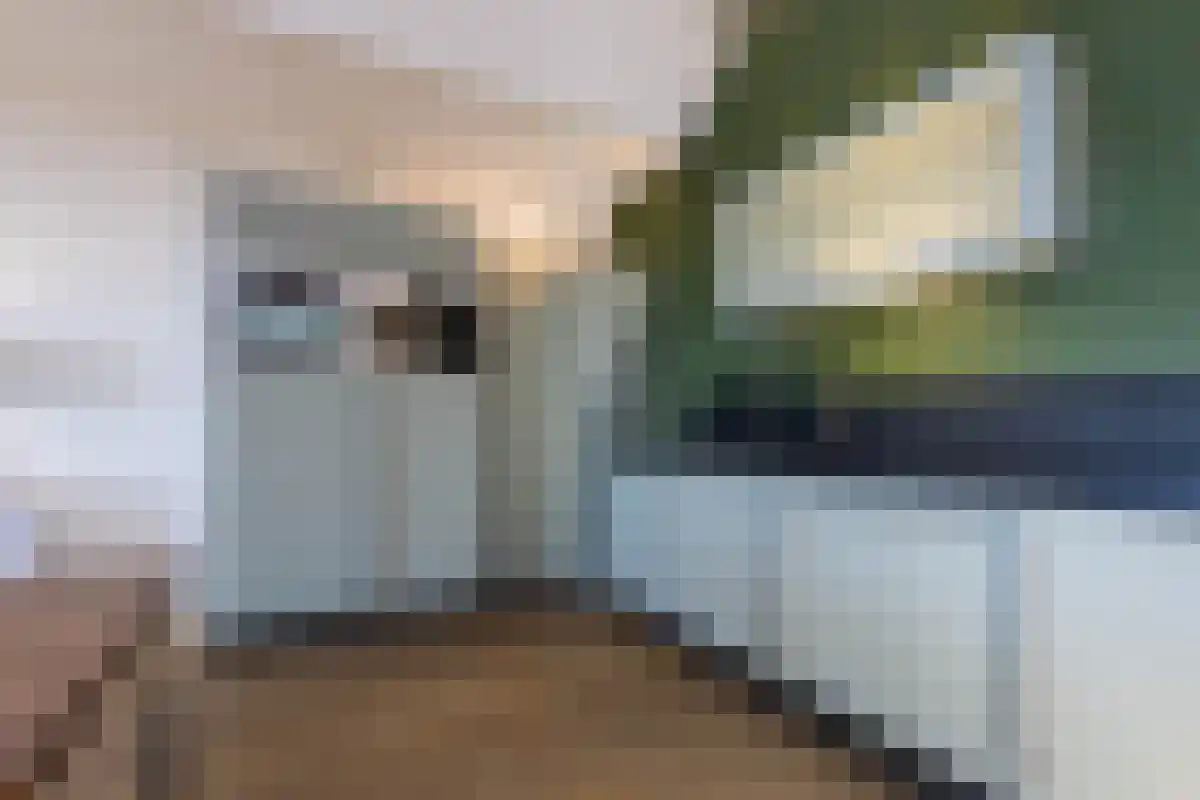 Voormeer 182 Alkmaar thumbnail 12