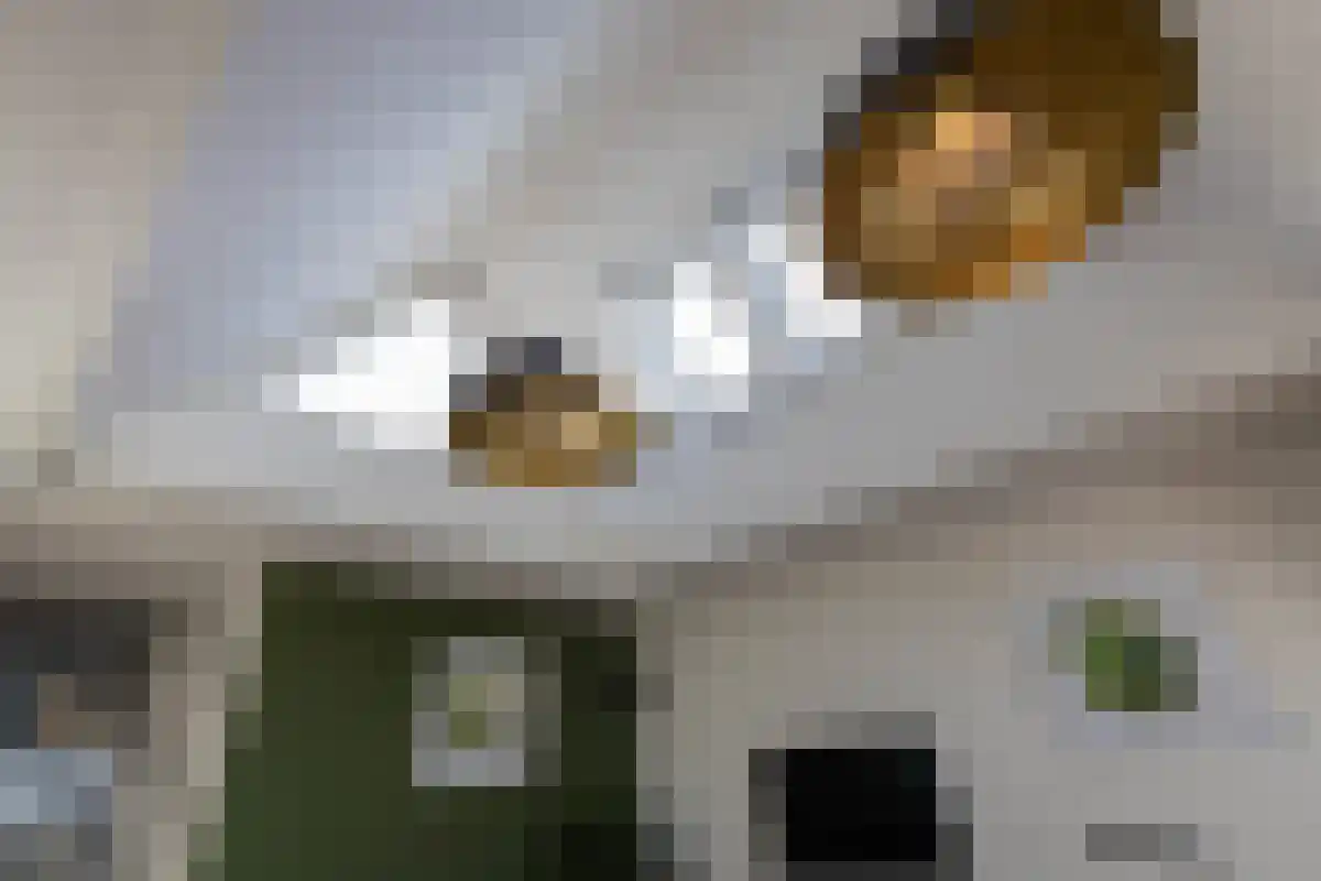 Voormeer 182 Alkmaar thumbnail 16