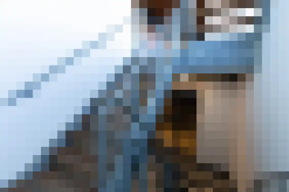 Voormeer 182 Alkmaar thumbnail 38