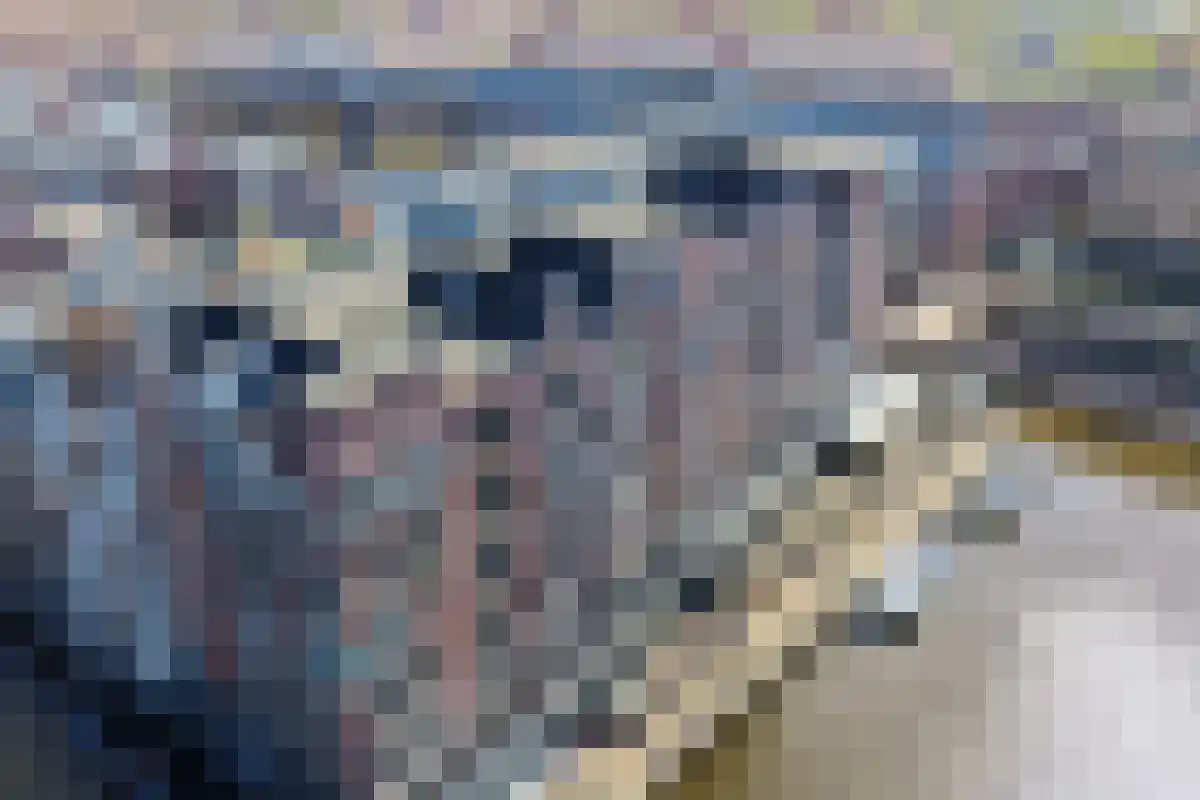 Voormeer 182 Alkmaar thumbnail 47
