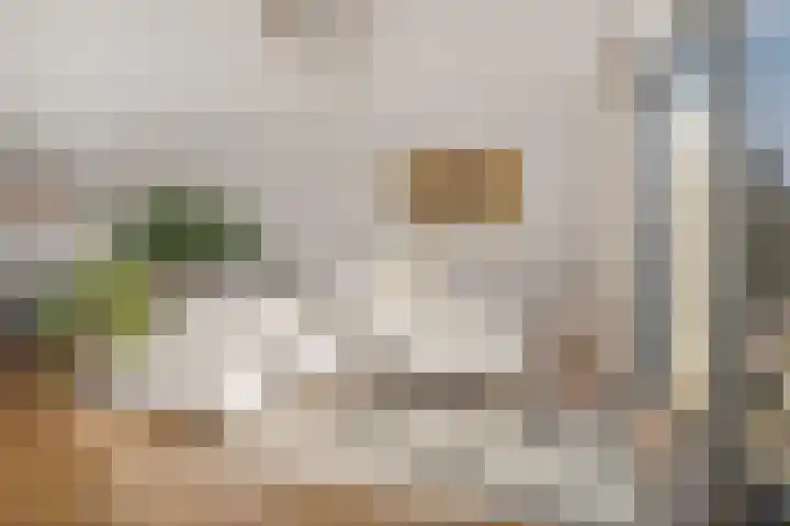 Voormeer 2 A Alkmaar thumbnail 11