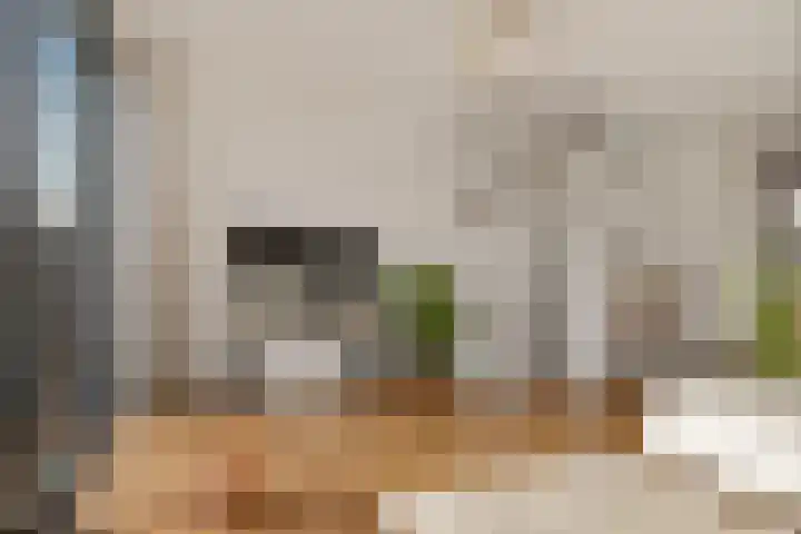 Voormeer 2 A Alkmaar thumbnail 14