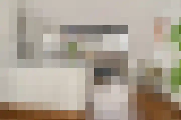 Voormeer 2 A Alkmaar thumbnail 16