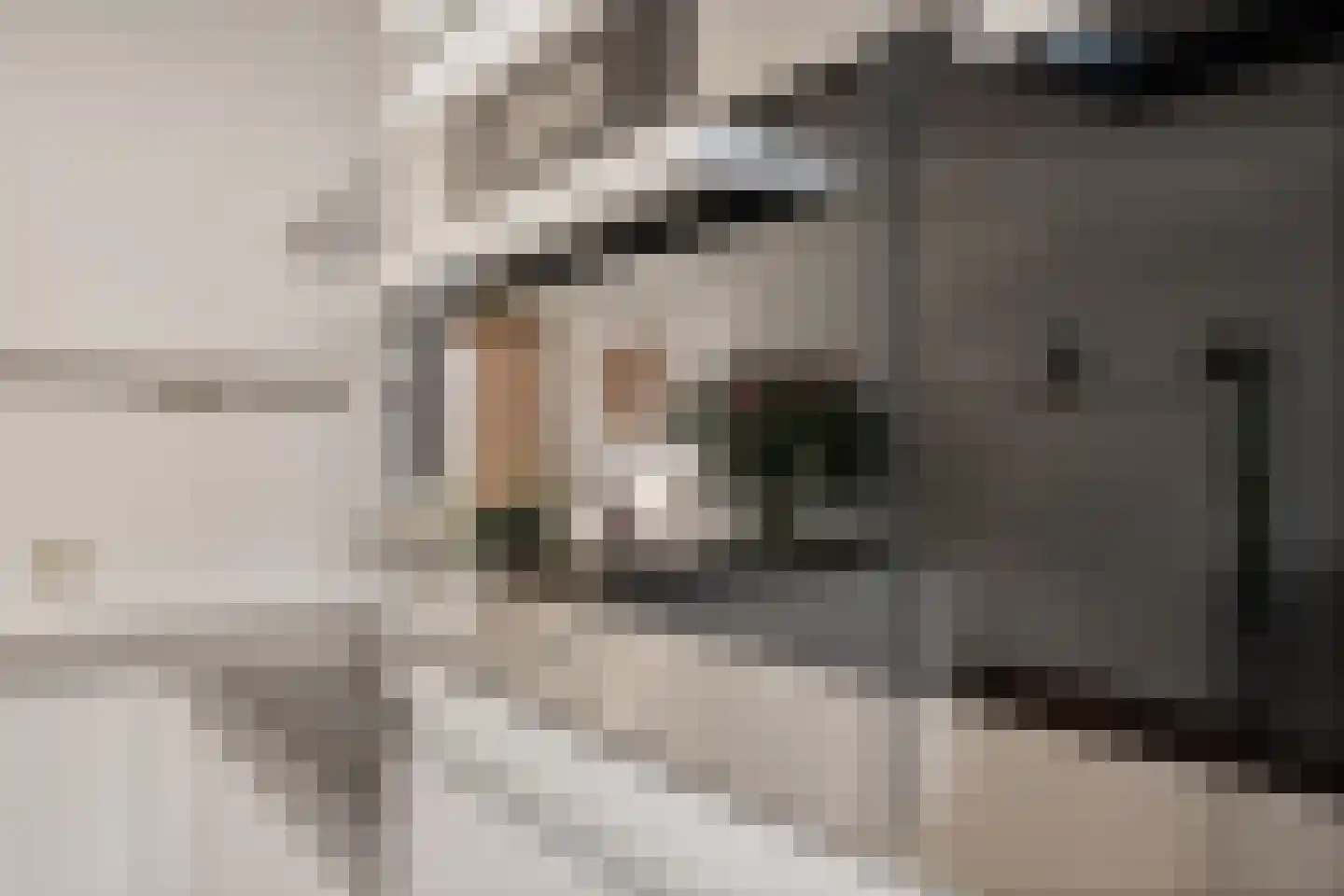 Voormeer 2 A Alkmaar thumbnail 23