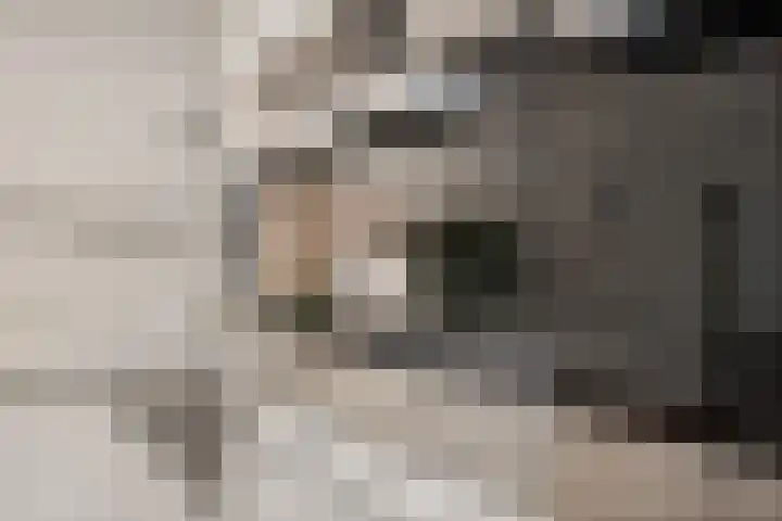 Voormeer 2 A Alkmaar thumbnail 23