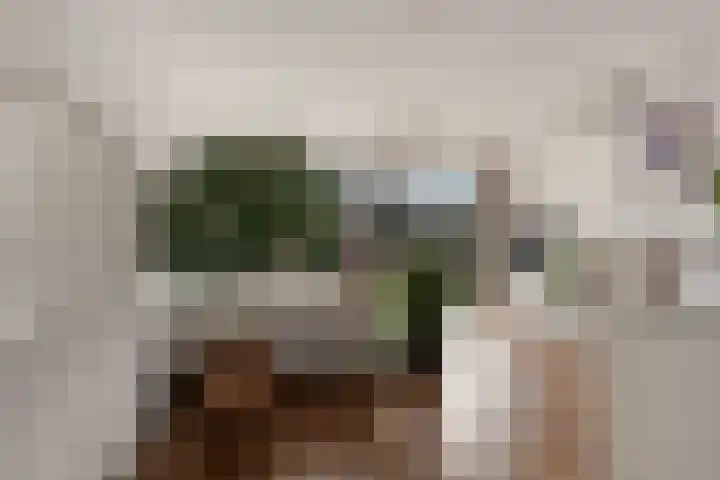 Voormeer 2 A Alkmaar thumbnail 24