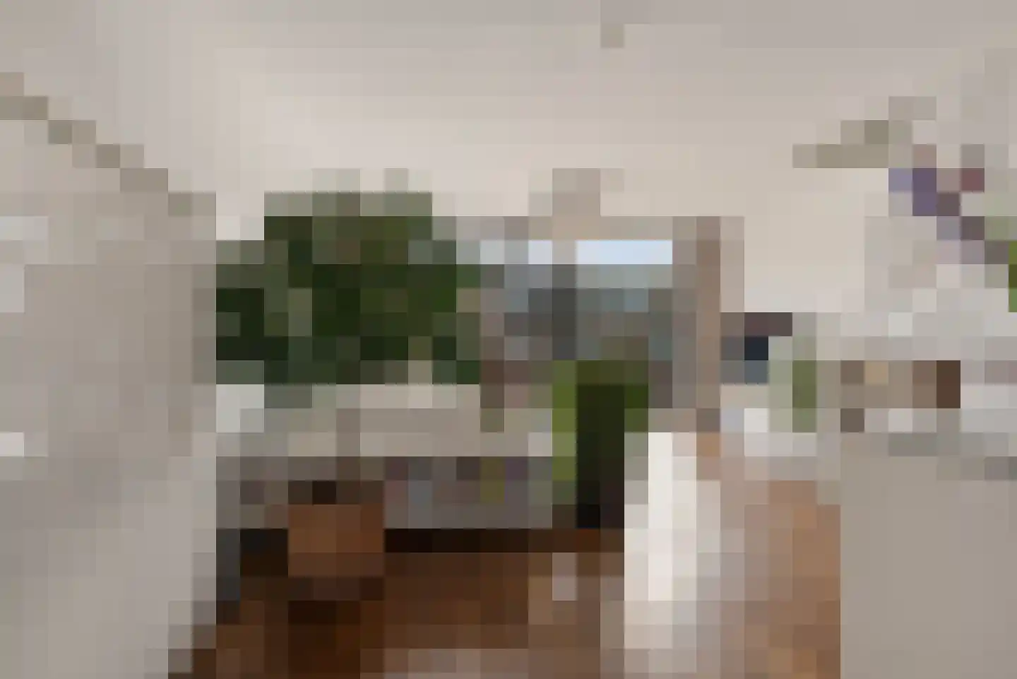 Voormeer 2 A Alkmaar thumbnail 24