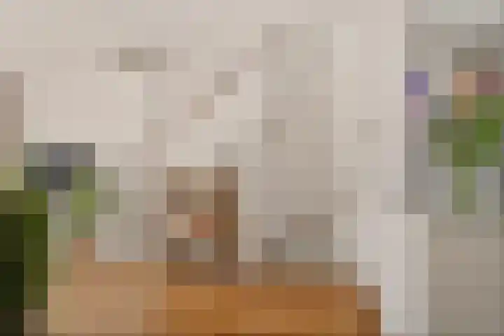Voormeer 2 A Alkmaar thumbnail 25
