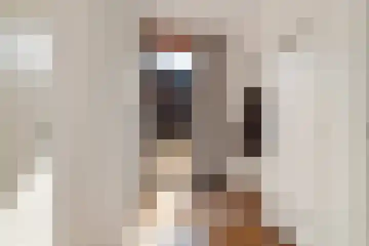 Voormeer 2 A Alkmaar thumbnail 5