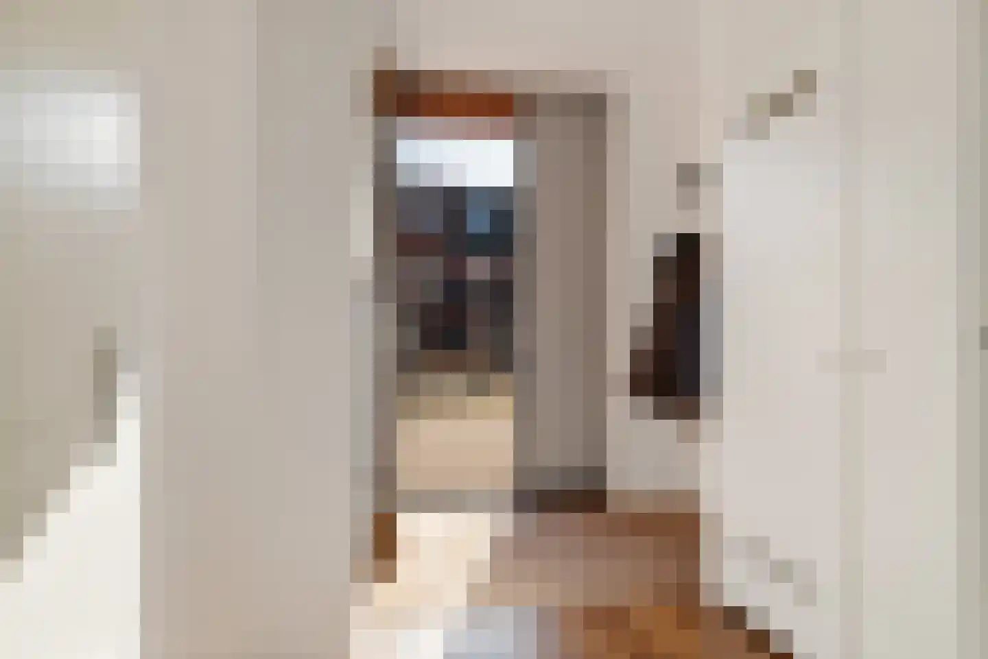 Voormeer 2 A Alkmaar thumbnail 5