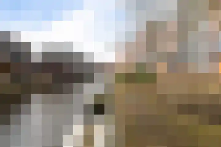 Voormeer 2 A Alkmaar thumbnail 57