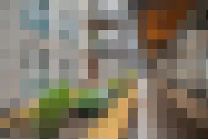 Voormeer 42 Alkmaar thumbnail 10