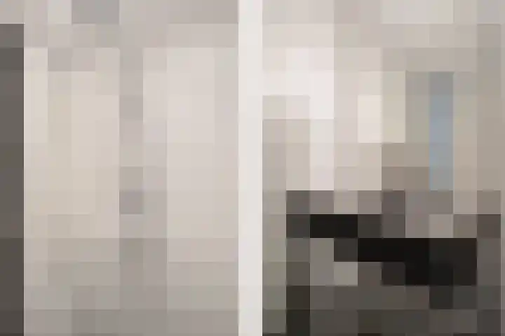 Voormeer 42 Alkmaar thumbnail 27