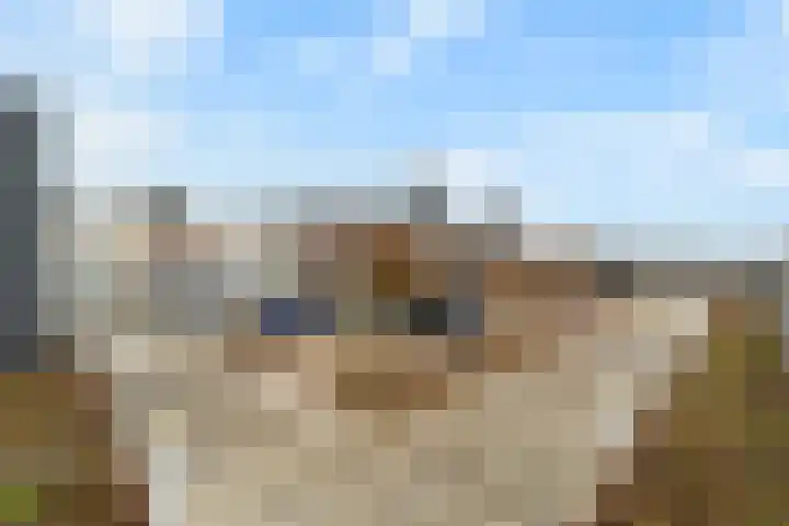 Voormeer 42 Alkmaar thumbnail 35