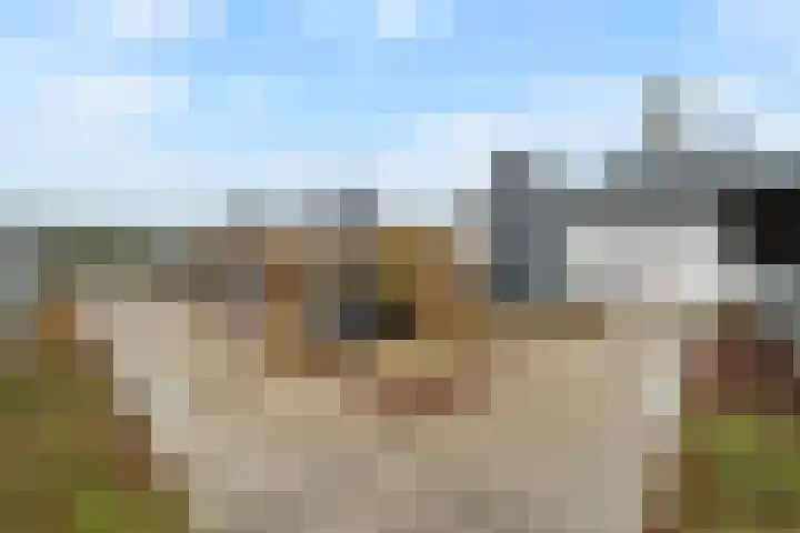 Voormeer 42 Alkmaar thumbnail 36