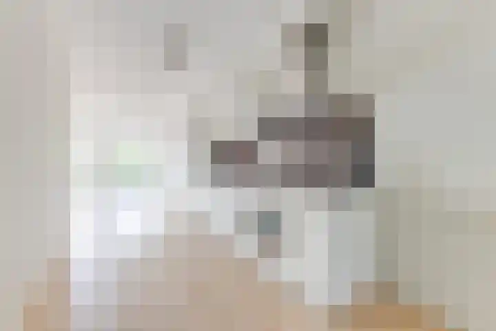 Voormeer 76 Alkmaar thumbnail 16