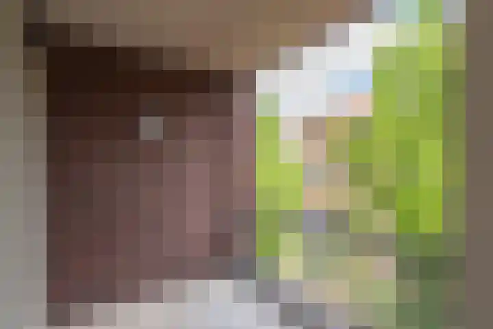 Voormeer 76 Alkmaar thumbnail 30